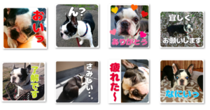 かわいいキラト君スタンプアイキャッチ