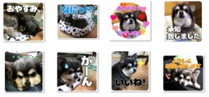 かわいいラテちゃんのスタンプ