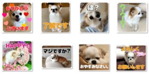 可愛いモカちゃんLINEスタンプアイキャッチ