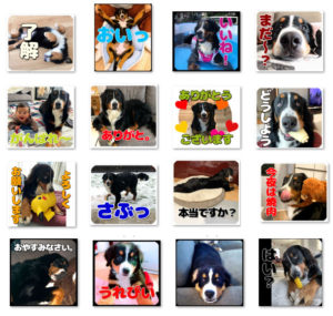 可愛いサクラちゃんスタンプアイキャッチ